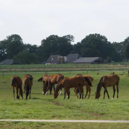 Luxe tent Glampingtent 't Haller *